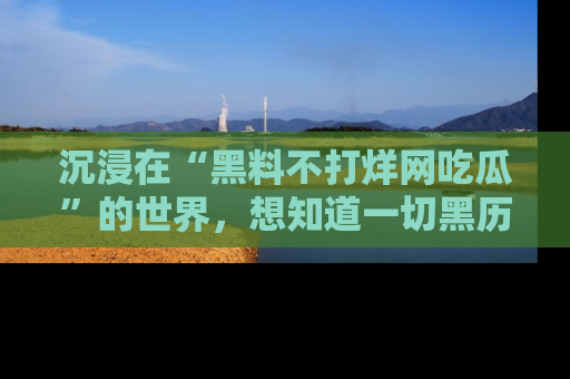沉浸在“黑料不打烊网吃瓜”的世界，想知道一切黑历史与内幕信息的网站！