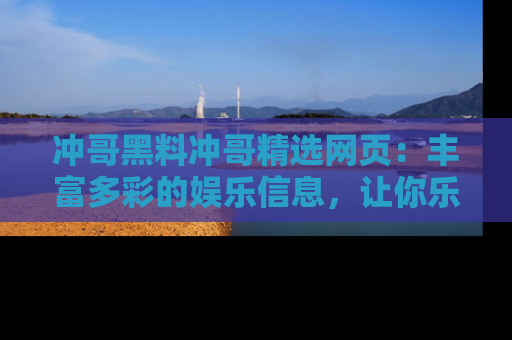 冲哥黑料冲哥精选网页：丰富多彩的娱乐信息，让你乐不停息