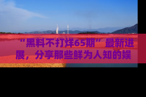 “黑料不打烊65期”最新进展，分享那些鲜为人知的娱乐八卦