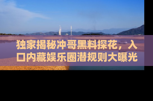 独家揭秘冲哥黑料探花,入口内藏娱乐圈潜规则大曝光