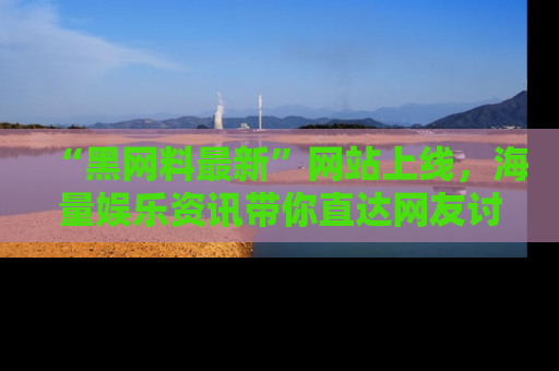 “黑网料最新”网站上线，海量娱乐资讯带你直达网友讨论的中心！