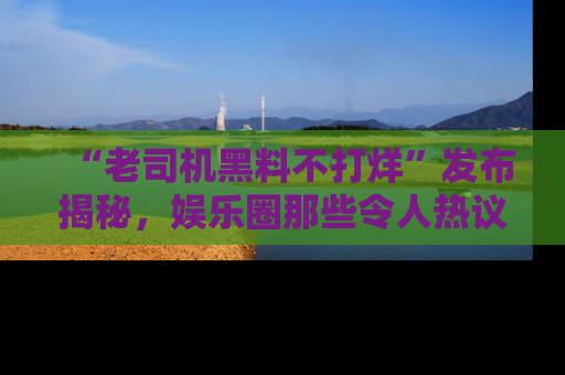 “老司机黑料不打烊”发布揭秘，娱乐圈那些令人热议的黑暗秘密！
