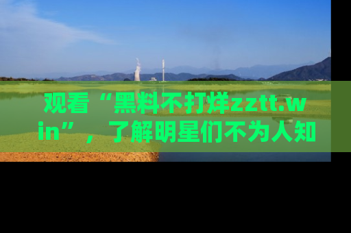观看“黑料不打烊zztt.win”，了解明星们不为人知的黑料内幕