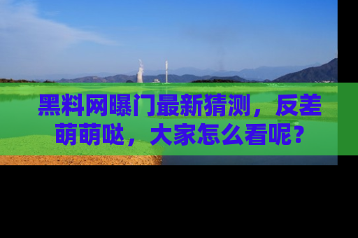 黑料网曝门最新猜测，反差萌萌哒，大家怎么看呢？