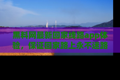 黑料网最新回家线路app体验，保证回家路上永不迷路顺畅