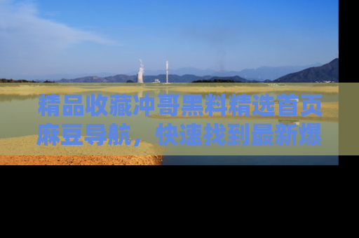 精品收藏冲哥黑料精选首页麻豆导航，快速找到最新爆料