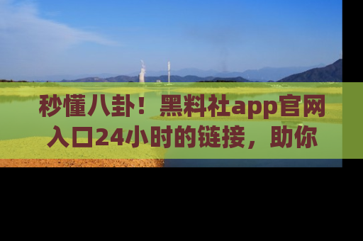 秒懂八卦！黑料社app官网入口24小时的链接，助你及时获取热搜焦点