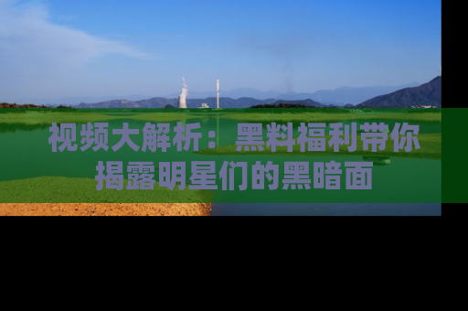 视频大解析：黑料福利带你揭露明星们的黑暗面