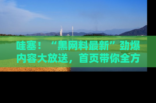哇塞！“黑网料最新”劲爆内容大放送，首页带你全方位了解哦，小可爱们
