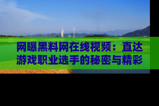 网曝黑料网在线视频：直达游戏职业选手的秘密与精彩动漫片段！