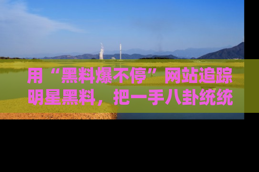 用“黑料爆不停”网站追踪明星黑料，把一手八卦统统收进你的后宫中！