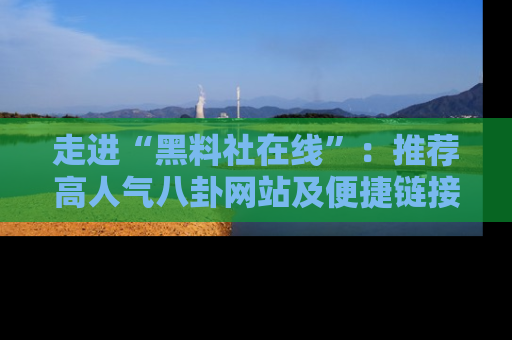走进“黑料社在线”：推荐高人气八卦网站及便捷链接的全面指南